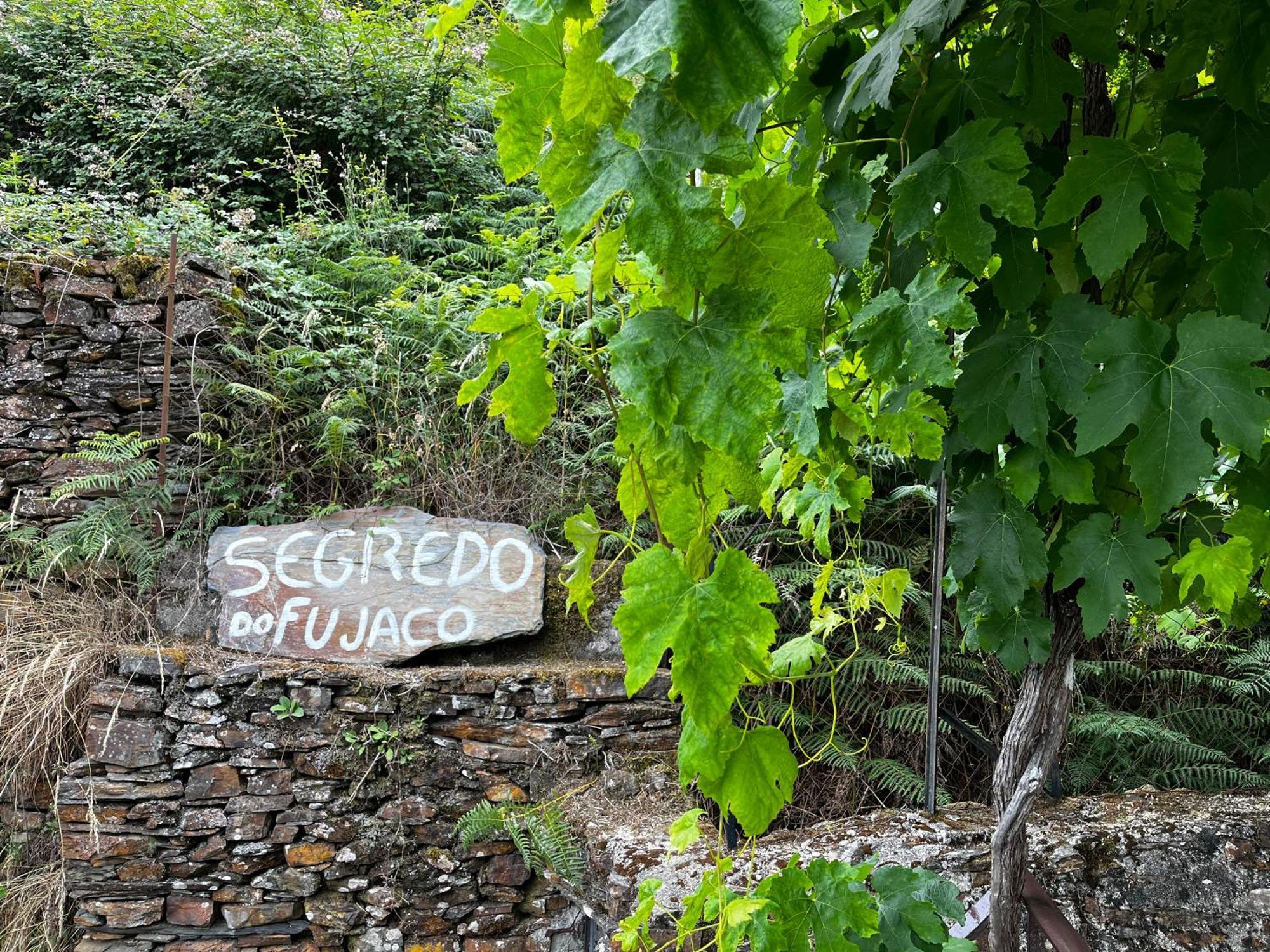 O Segredo Do Fujaco Villa São Pedro do Sul Esterno foto